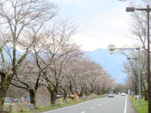 2025年4月6日