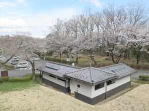 2025年4月6日