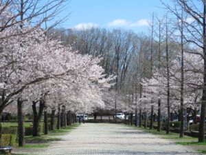 2025年4月9日