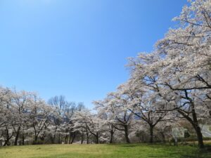 2025年4月9日