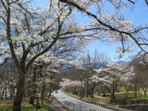 2025年4月9日