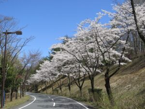 2025年4月9日