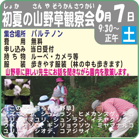 初夏の山野草観察会　6月7日（土）