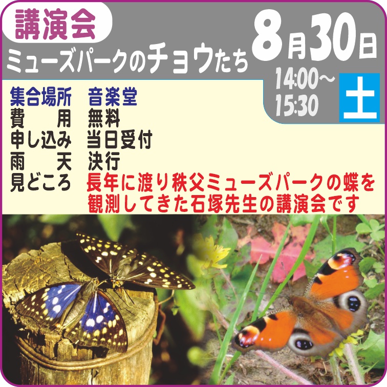 講演会 ミューズパークのチョウたち