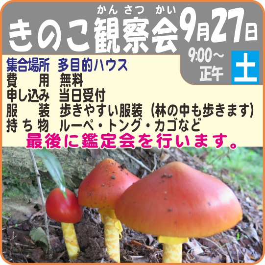 きのこ観察会