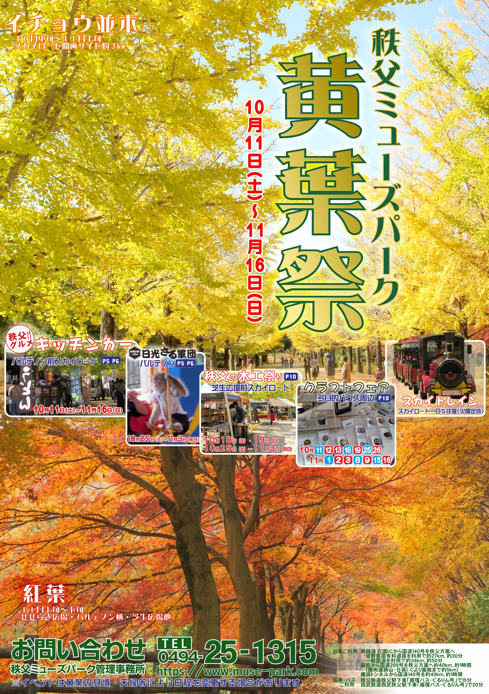 イチョウ並木紅葉情報　10月8日（水）現在