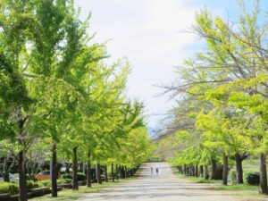 2025年10月8日