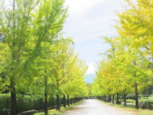 2025年10月8日
