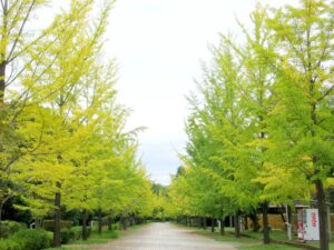 2025年10月10日