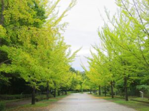 2025年10月10日