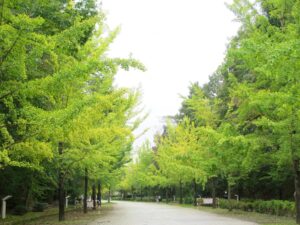 2025年10月10日