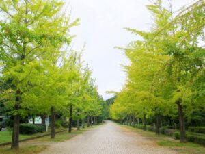 2025年10月10日