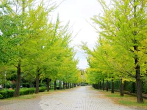 2025年10月10日