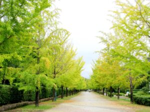 2025年10月10日