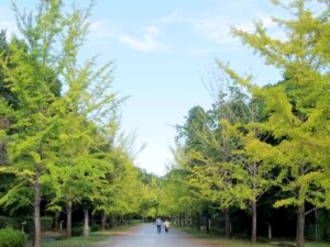 2025年10月12日