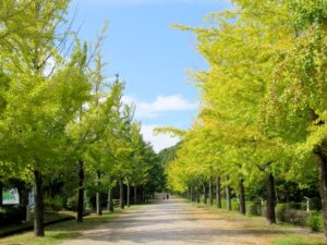 2025年10月12日