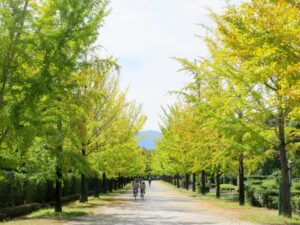 2025年10月12日