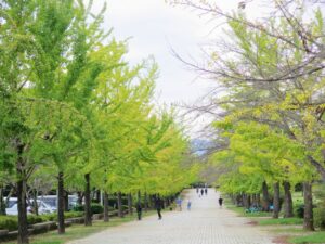 2025年10月12日