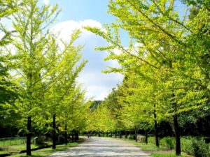 2025年10月15日