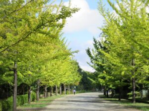 2025年10月15日