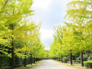 2025年10月15日