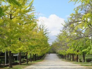 2025年10月15日