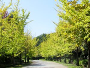 2025年10月17日