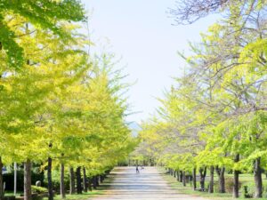 2025年10月17日