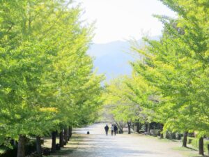 2025年10月17日