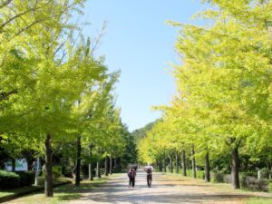 2025年10月17日