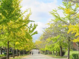2025年10月24日
