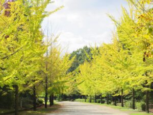 2025年10月24日