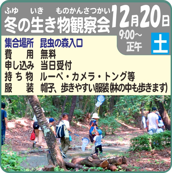 冬の生きもの観察会