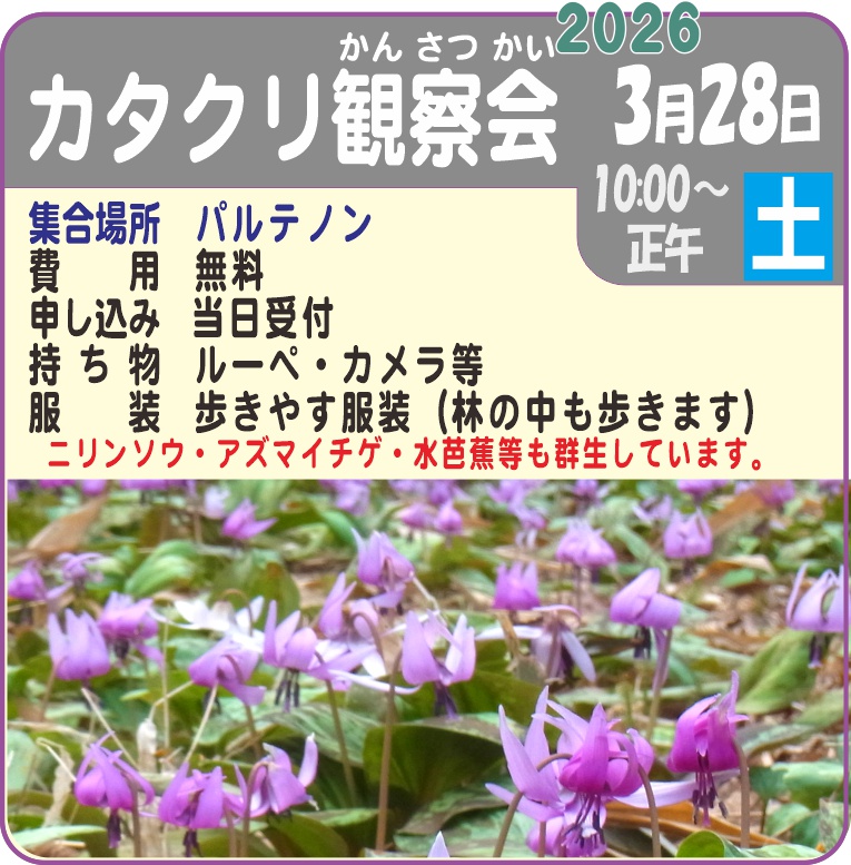 カタクリ観察会