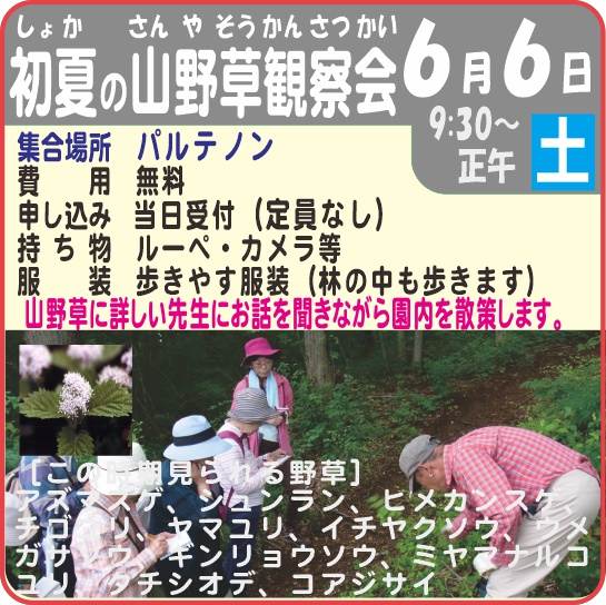 初夏の山野草観察会　6月6日（土）