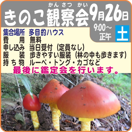 きのこ観察会