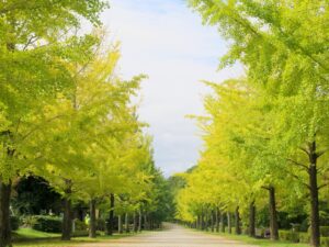 2026年10月6日