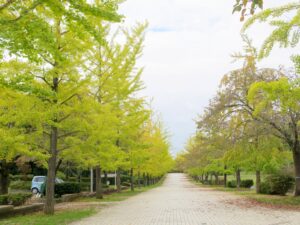 2026年10月6日