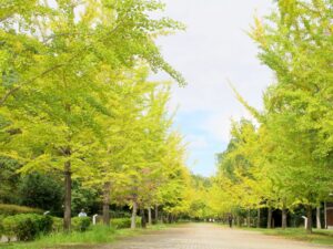 2026年10月6日