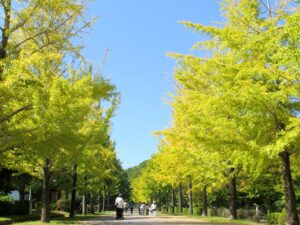 2026年10月11日