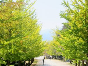 2026年10月11日