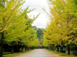 2026年10月14日