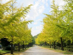 2026年10月14日