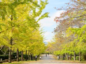 2026年10月16日