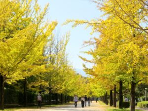2026年10月18日