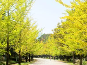 2026年10月18日