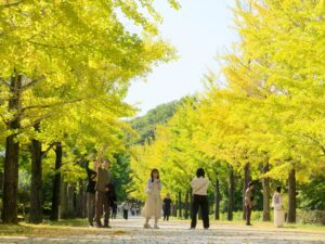 2026年10月18日