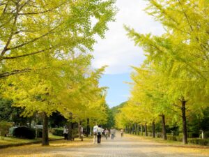 2026年10月21日