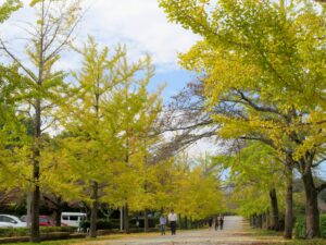 2026年10月21日