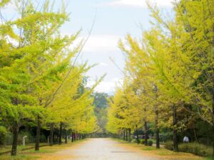 2026年10月21日